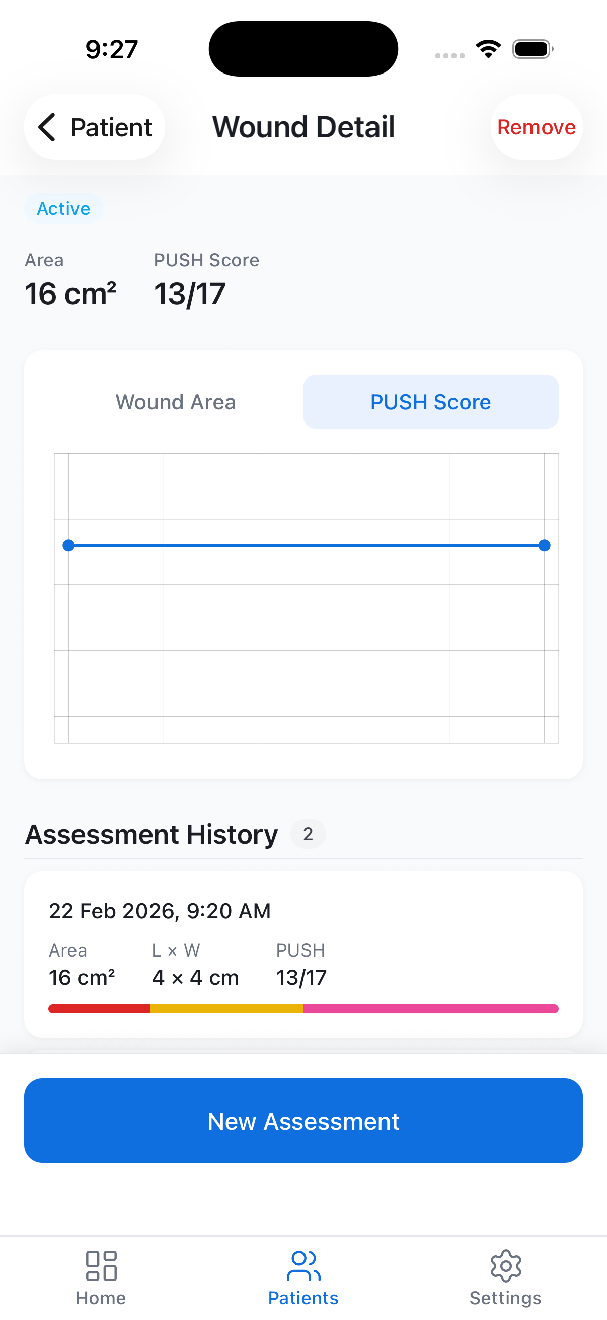 PUSH Score Chart